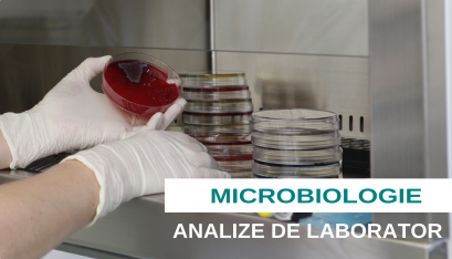 Microbiologie - analize de laborator