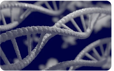 Testarea genetică preimplantatorie - PGT